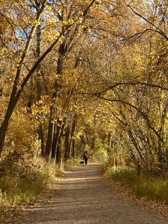 Grant Terry Trail in Fall