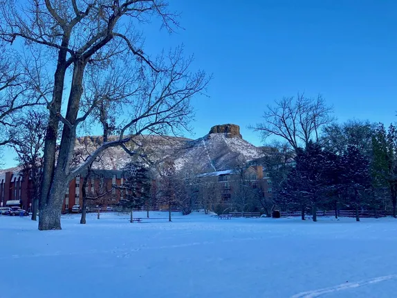 Puzzle: Parfet Park in Winter