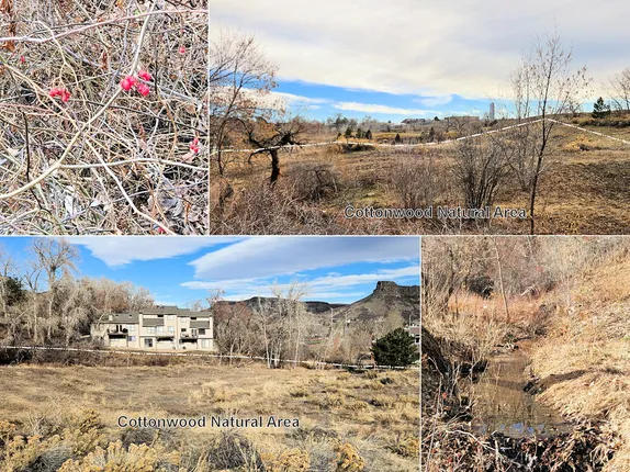 Where are the City of Golden Open Spaces? Cottonwood Natural Area