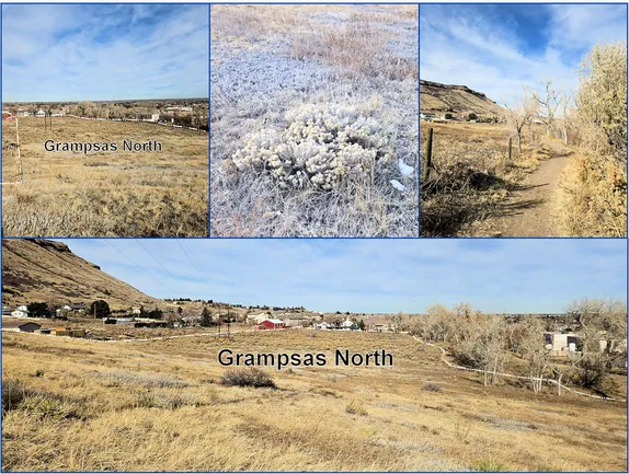 Where are the City of Golden’s Open Spaces?  Grampsas North