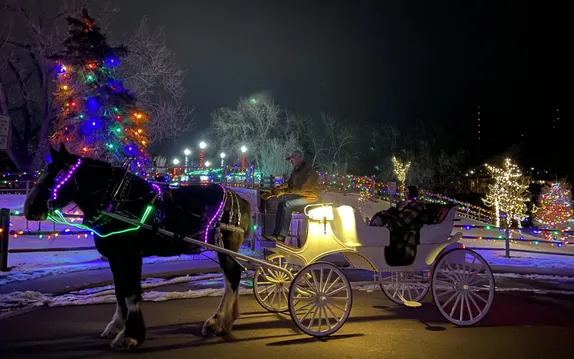 Puzzle: Holiday Lights Carriage Ride