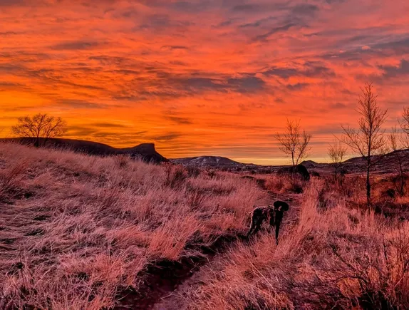 Sailors Take Warning