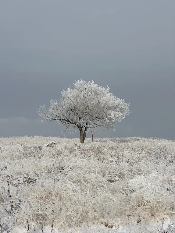 Snow and Frost on North Table Mountain