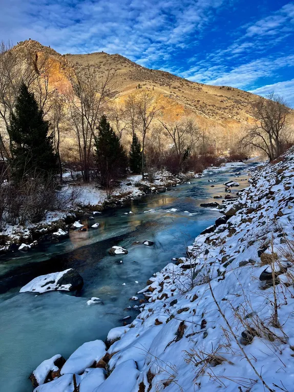 Blue and Gold Winter Afternoon