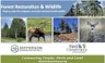 Forest Restoration & Wildlife - photos of trees, elk, and deer